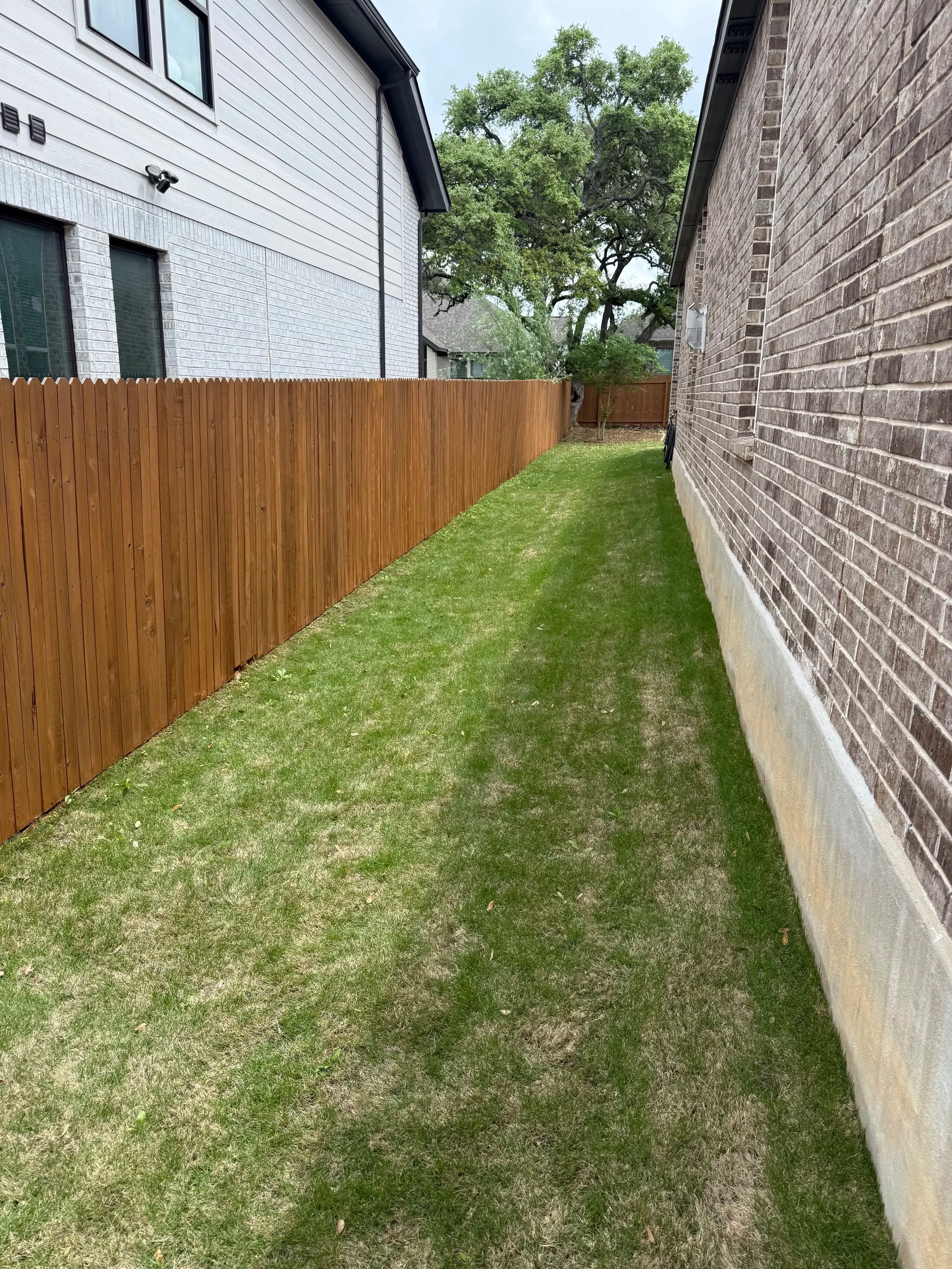 Freshly stained fence along a side yard